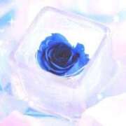 ヒメ日記 2025/07/07 17:01 投稿 ナナ REDROOM (レッドルーム)