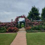 ヒメ日記 2025/07/09 17:30 投稿 ナナ REDROOM (レッドルーム)