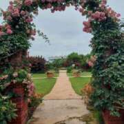 ヒメ日記 2025/07/15 16:00 投稿 ナナ REDROOM (レッドルーム)