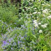 ヒメ日記 2025/07/16 17:30 投稿 ナナ REDROOM (レッドルーム)