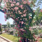 ヒメ日記 2025/07/19 17:30 投稿 ナナ REDROOM (レッドルーム)