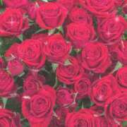 ヒメ日記 2025/07/24 17:30 投稿 ナナ REDROOM (レッドルーム)