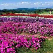 ヒメ日記 2025/08/16 17:30 投稿 ナナ REDROOM (レッドルーム)