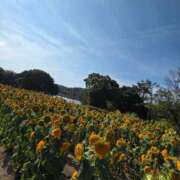 ヒメ日記 2025/08/20 17:30 投稿 ナナ REDROOM (レッドルーム)