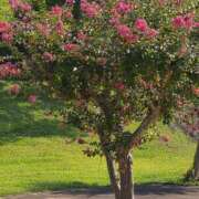 ヒメ日記 2025/08/21 17:30 投稿 ナナ REDROOM (レッドルーム)