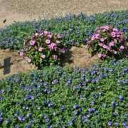 ヒメ日記 2025/08/22 17:30 投稿 ナナ REDROOM (レッドルーム)