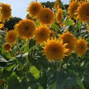 ヒメ日記 2025/08/26 17:30 投稿 ナナ REDROOM (レッドルーム)