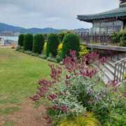 ヒメ日記 2025/09/05 17:30 投稿 ナナ REDROOM (レッドルーム)