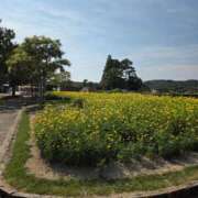 ヒメ日記 2025/09/07 17:30 投稿 ナナ REDROOM (レッドルーム)