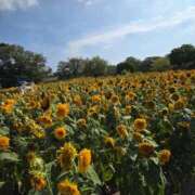 ヒメ日記 2025/09/10 17:30 投稿 ナナ REDROOM (レッドルーム)