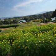 ヒメ日記 2025/09/25 17:30 投稿 ナナ REDROOM (レッドルーム)