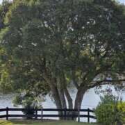 ヒメ日記 2025/09/29 17:30 投稿 ナナ REDROOM (レッドルーム)