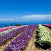 ヒメ日記 2025/10/07 17:30 投稿 ナナ REDROOM (レッドルーム)