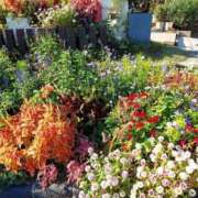 ヒメ日記 2025/10/30 17:30 投稿 ナナ REDROOM (レッドルーム)