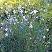 ヒメ日記 2025/11/14 17:30 投稿 ナナ REDROOM (レッドルーム)