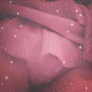 ヒメ日記 2025/11/27 09:06 投稿 ナナ REDROOM (レッドルーム)