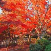 ヒメ日記 2025/12/04 17:45 投稿 ナナ REDROOM (レッドルーム)