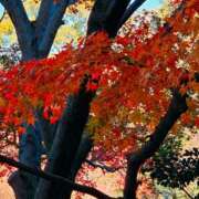 ヒメ日記 2025/12/05 17:30 投稿 ナナ REDROOM (レッドルーム)