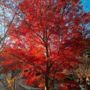 ヒメ日記 2025/12/09 17:30 投稿 ナナ REDROOM (レッドルーム)