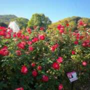 ヒメ日記 2025/12/10 17:30 投稿 ナナ REDROOM (レッドルーム)