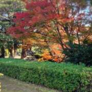 ヒメ日記 2025/12/11 17:30 投稿 ナナ REDROOM (レッドルーム)