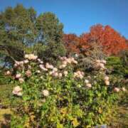 ナナ おはようございます(^-^) REDROOM (レッドルーム)