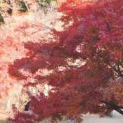 ヒメ日記 2025/12/19 17:01 投稿 ナナ REDROOM (レッドルーム)