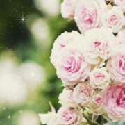 ヒメ日記 2025/12/27 17:30 投稿 ナナ REDROOM (レッドルーム)