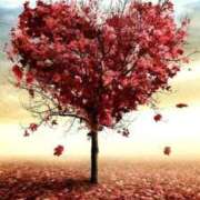 ヒメ日記 2026/01/10 17:30 投稿 ナナ REDROOM (レッドルーム)