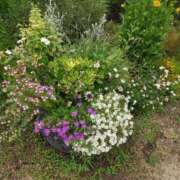 ヒメ日記 2026/01/18 17:30 投稿 ナナ REDROOM (レッドルーム)