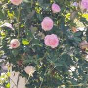 ヒメ日記 2026/01/30 17:30 投稿 ナナ REDROOM (レッドルーム)