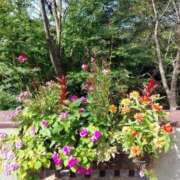 ヒメ日記 2026/02/06 17:30 投稿 ナナ REDROOM (レッドルーム)