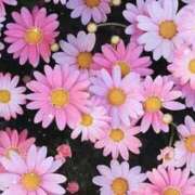 ヒメ日記 2026/02/26 17:31 投稿 ナナ REDROOM (レッドルーム)