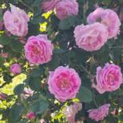 ヒメ日記 2026/02/28 17:30 投稿 ナナ REDROOM (レッドルーム)