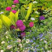 ヒメ日記 2026/03/02 17:30 投稿 ナナ REDROOM (レッドルーム)