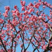 ヒメ日記 2026/03/13 17:30 投稿 ナナ REDROOM (レッドルーム)