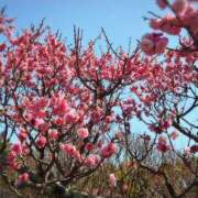 ヒメ日記 2026/03/15 17:30 投稿 ナナ REDROOM (レッドルーム)