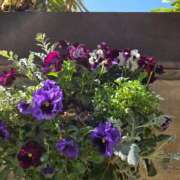 ヒメ日記 2026/03/27 17:30 投稿 ナナ REDROOM (レッドルーム)