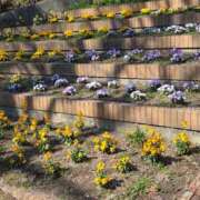 ヒメ日記 2026/03/28 17:30 投稿 ナナ REDROOM (レッドルーム)