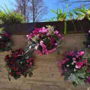 ヒメ日記 2026/03/29 17:30 投稿 ナナ REDROOM (レッドルーム)