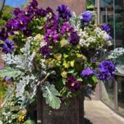 ヒメ日記 2026/04/03 17:30 投稿 ナナ REDROOM (レッドルーム)