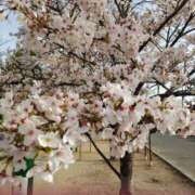 ナナ ありがとう(^-^ゞ REDROOM (レッドルーム)