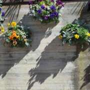 ヒメ日記 2026/04/08 17:30 投稿 ナナ REDROOM (レッドルーム)