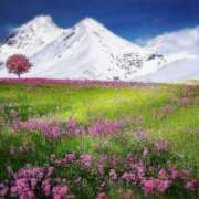 ヒメ日記 2026/04/14 17:30 投稿 ナナ REDROOM (レッドルーム)