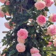 ヒメ日記 2026/04/18 17:30 投稿 ナナ REDROOM (レッドルーム)