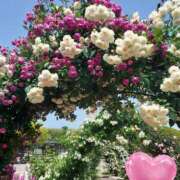ヒメ日記 2026/10/06 17:30 投稿 ナナ REDROOM (レッドルーム)