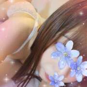 ヒメ日記 2024/12/08 10:30 投稿 心桜 素人妻達☆マイふぇらレディー