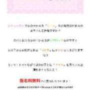 ヒメ日記 2023/09/12 07:21 投稿 あん トマトなび