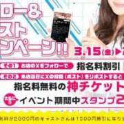 ヒメ日記 2024/03/15 07:57 投稿 あん トマトなび