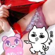 ヒメ日記 2024/12/20 06:42 投稿 あん トマトなび